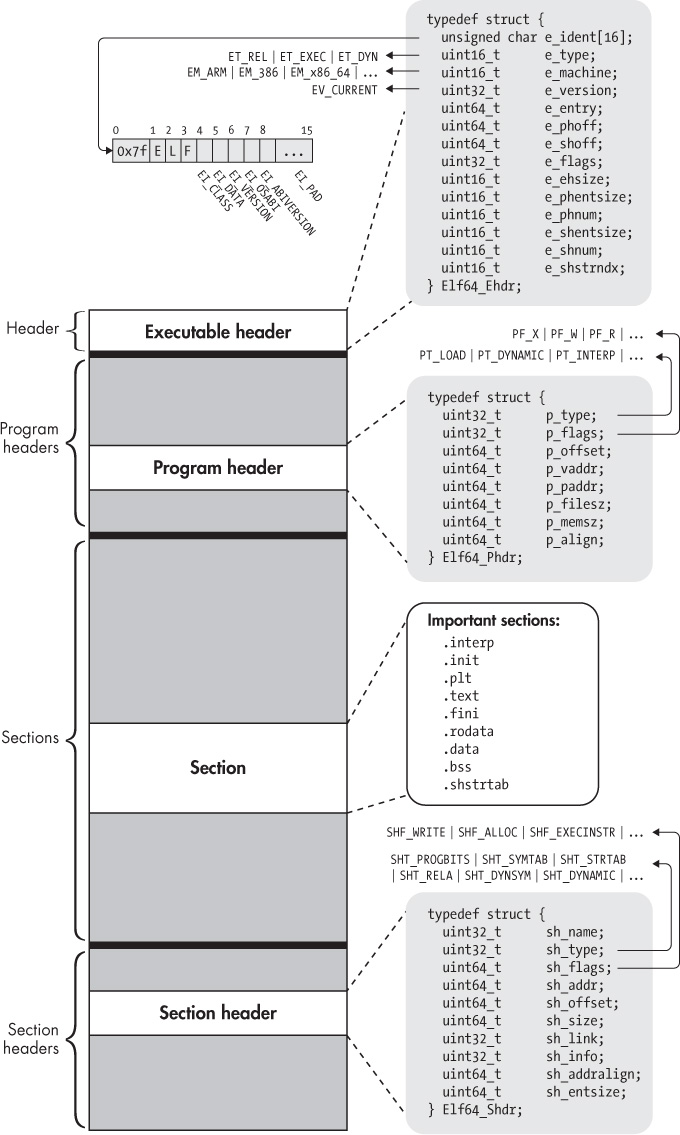 ELF header diagram