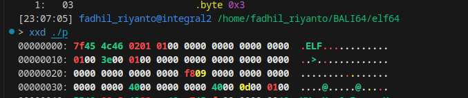 ELF magic bytes visualization